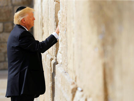 trump en el muro