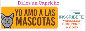 mascotas