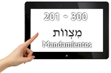 mitzva201